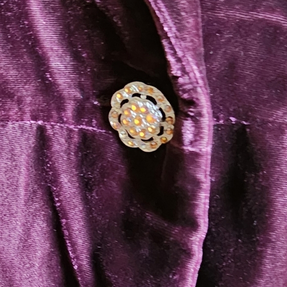 Anne Carson Deep Purple Velvet Blazer - Picture 4 of 4